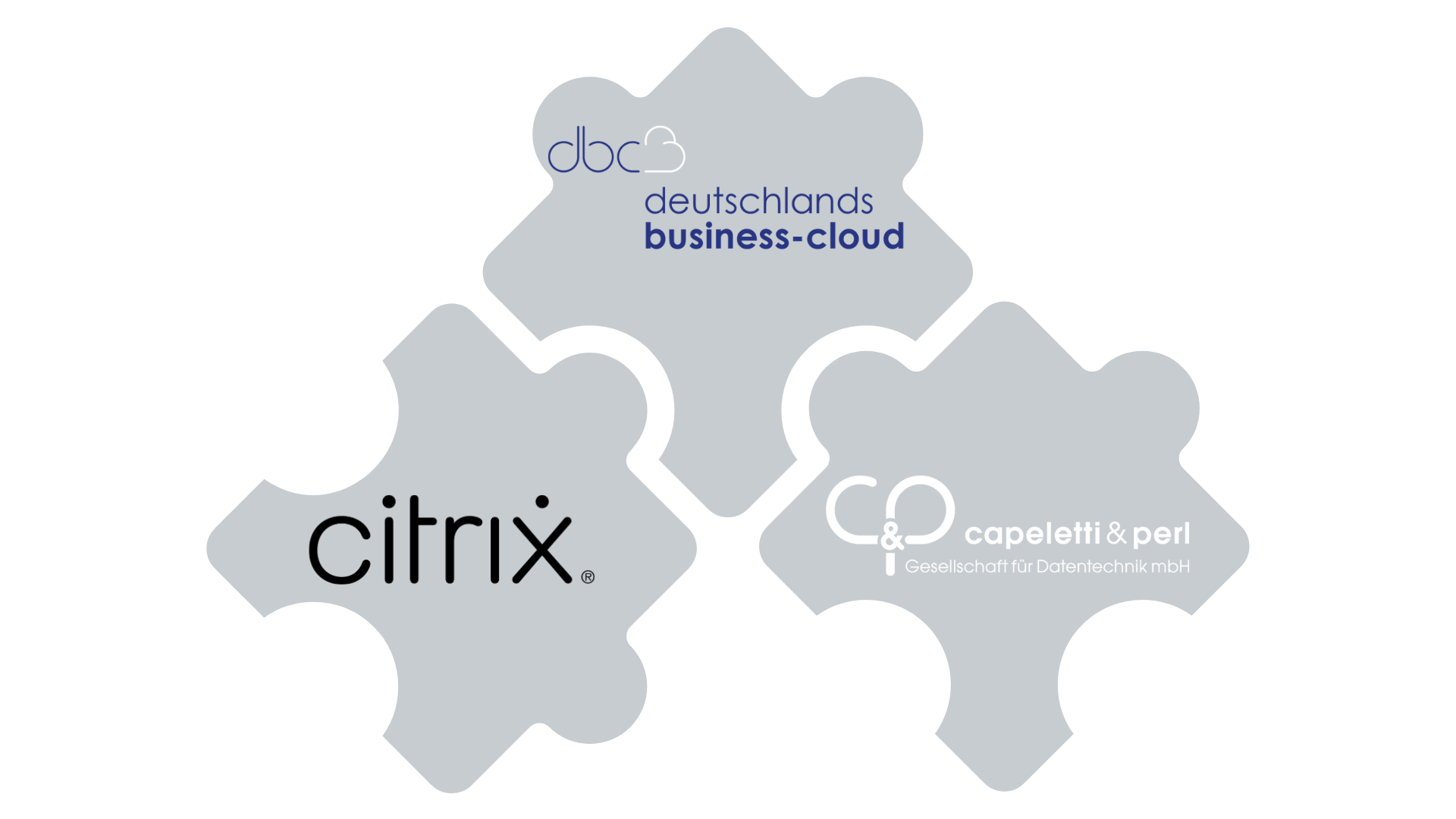 cloud software group